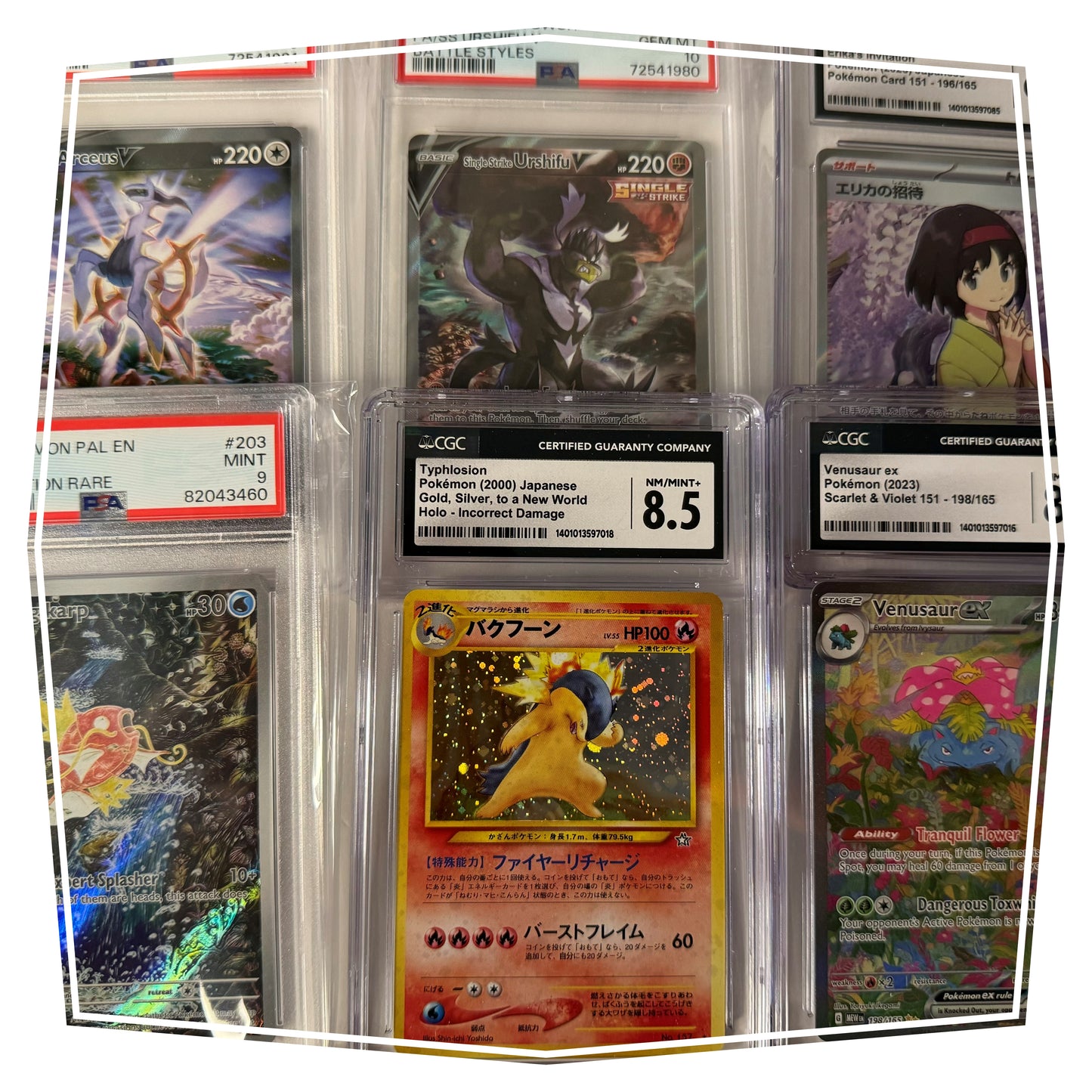 SIGMA - POKEMON MYSTERY BEAST MODE BUNDLE